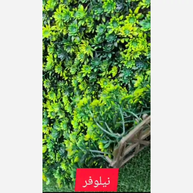 گرین وال نیلوفر ابعاد 50در50 cm (دیوار سبز/گرینوال)(پس کرایه)