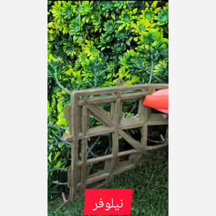 گرین وال نیلوفر ابعاد 50در50 cm (دیوار سبز/گرینوال)(پس کرایه)