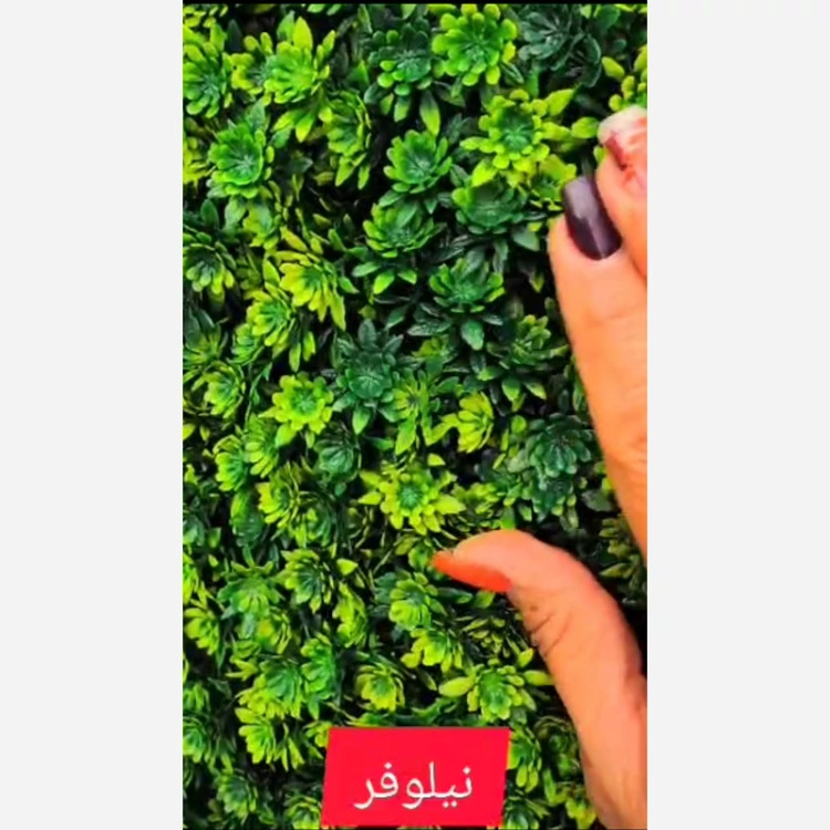 گرین وال نیلوفر ابعاد 50در50 cm (دیوار سبز/گرینوال)(پس کرایه)