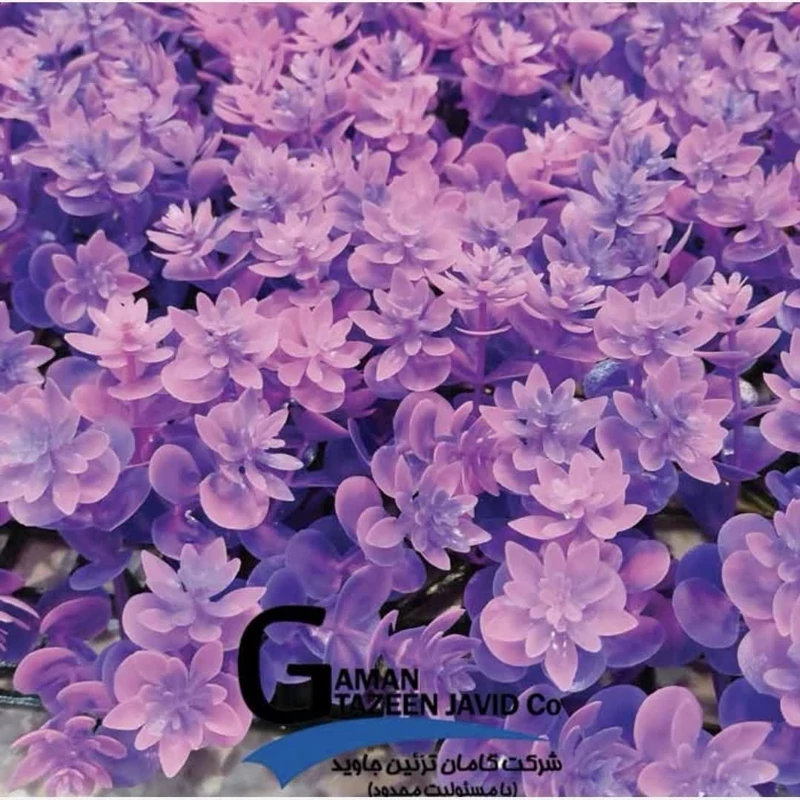 گرین وال بنفش ابعاد 50در50 cm، گامان (دیوار سبز)(پس کرایه)