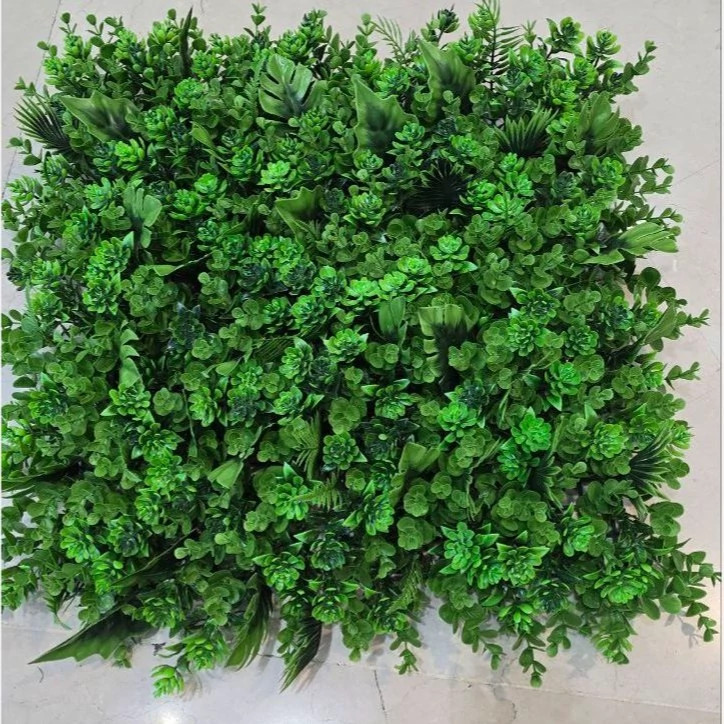 گرین وال (استوایی) پرتراکم،UVدار، وارداتی ابعاد 50در50 cm، یو وی دار، جنس درجه1 گامان (دیوارسبز) (پس کرایه)