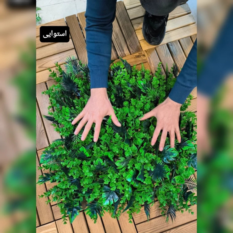 گرین وال (استوایی) پرتراکم،UVدار، وارداتی ابعاد 50در50 cm، یو وی دار، جنس درجه1 گامان (دیوارسبز) (پس کرایه)