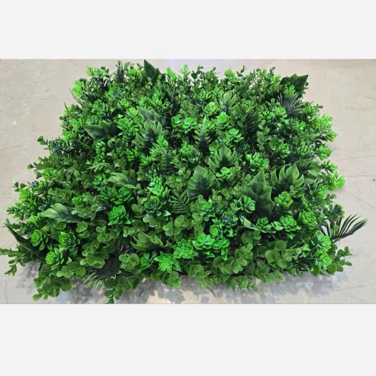 گرین وال (استوایی) پرتراکم،UVدار، وارداتی ابعاد 50در50 cm، یو وی دار، جنس درجه1 گامان (دیوارسبز) (پس کرایه)