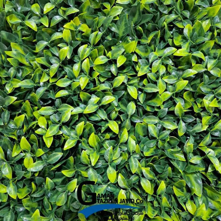 گرین وال(دیوار سبز) برگ ریحون 50در50 cm پرتراکم گامان(پس کرایه)