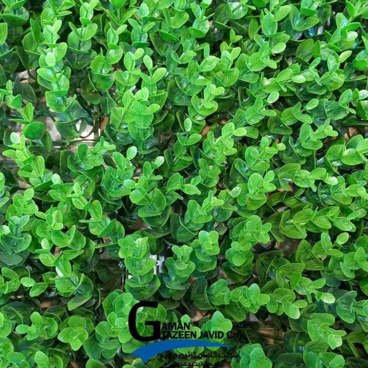 گرین وال (کد 16) ابعاد 50در50 cm پرتراکم گامان (دیوارسبز) (پس کرایه)