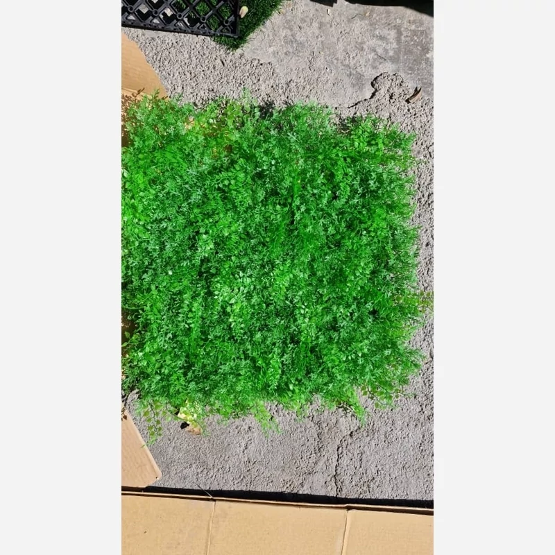 گرین وال (دیوار سبز) پیچک کاج 50در50 cm (پس کرایه)