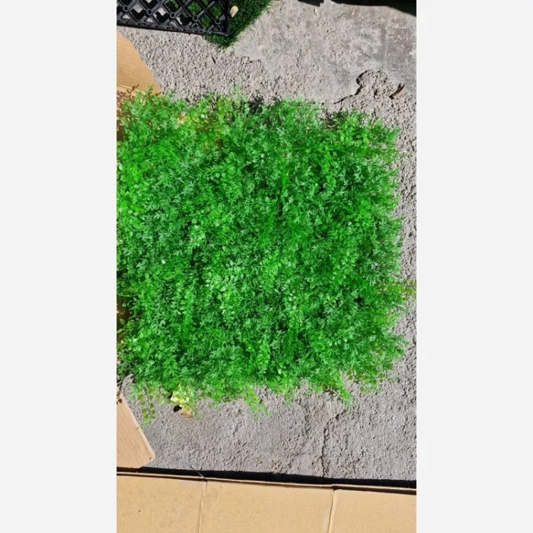 گرین وال (دیوار سبز) پیچک کاج 50در50 cm (پس کرایه)