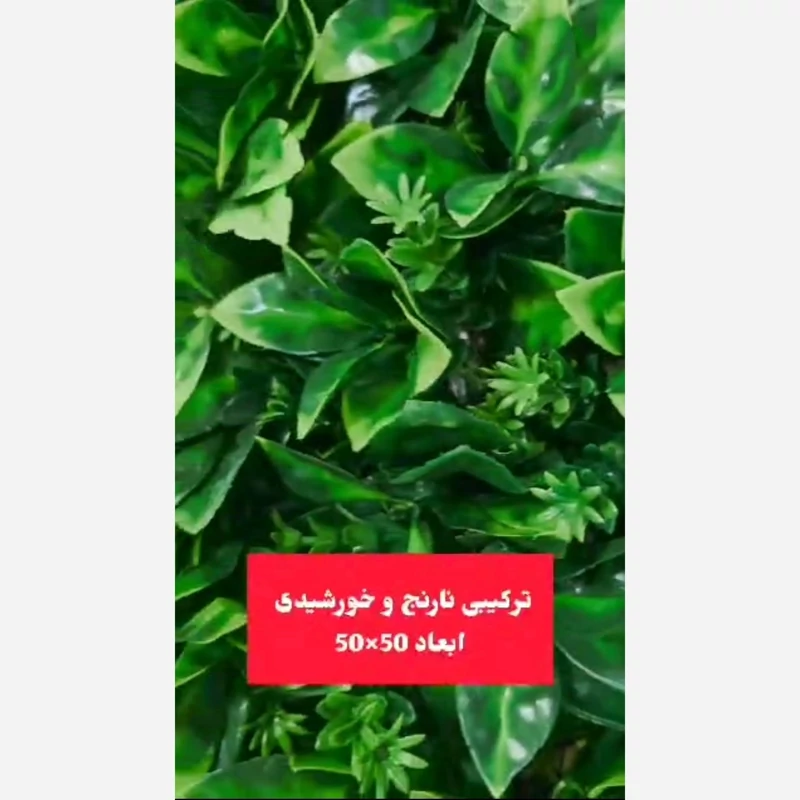 گرین وال ترکیبی نارنج و خورشیدی ابعاد 50در50 cm (دیوار سبز/گرینوال)(پس کرایه)