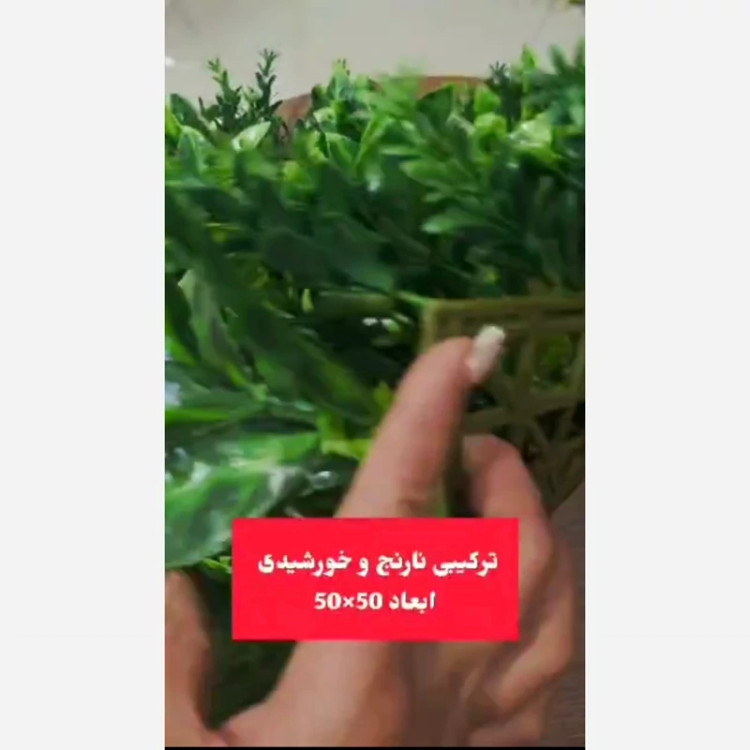 گرین وال ترکیبی نارنج و خورشیدی ابعاد 50در50 cm (دیوار سبز/گرینوال)(پس کرایه)