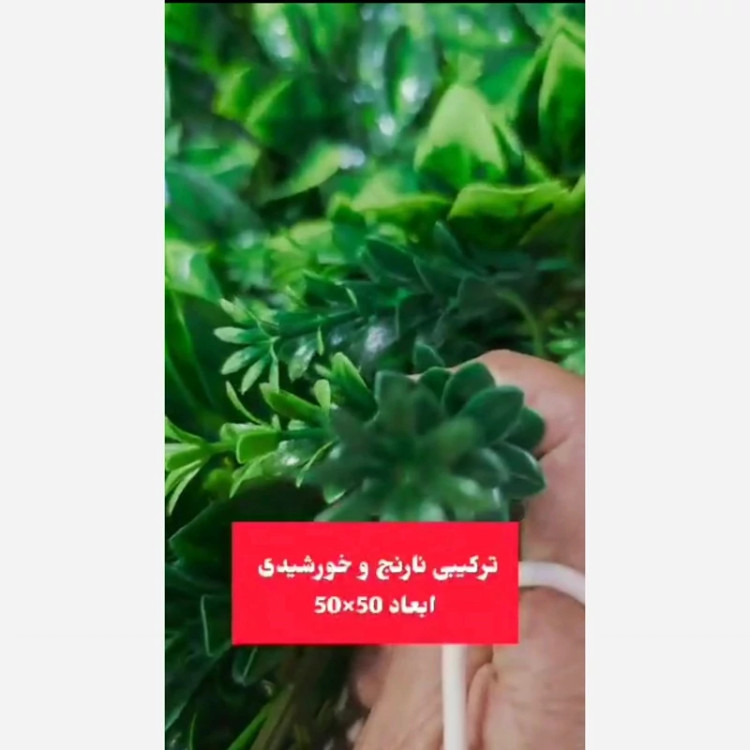 گرین وال ترکیبی نارنج و خورشیدی ابعاد 50در50 cm (دیوار سبز/گرینوال)(پس کرایه)