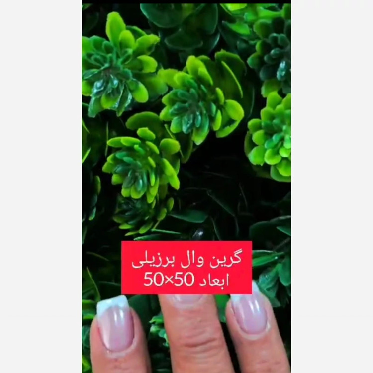 گرین وال برزیلی ابعاد 50در50 cm (دیوار سبز/گرینوال)(پس کرایه)