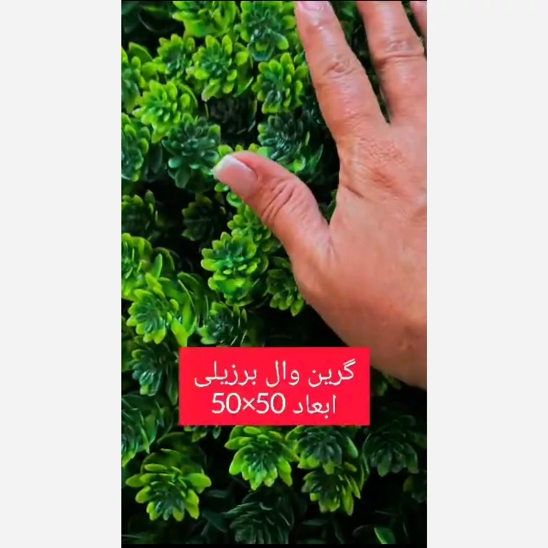 گرین وال برزیلی ابعاد 50در50 cm (دیوار سبز/گرینوال)(پس کرایه)