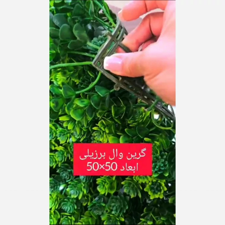 گرین وال برزیلی ابعاد 50در50 cm (دیوار سبز/گرینوال)(پس کرایه)