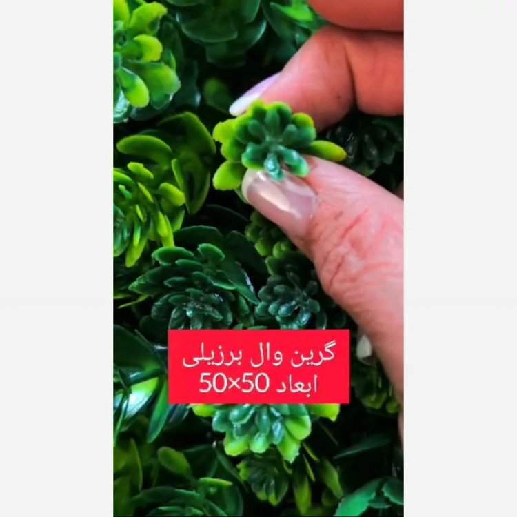 گرین وال برزیلی ابعاد 50در50 cm (دیوار سبز/گرینوال)(پس کرایه)