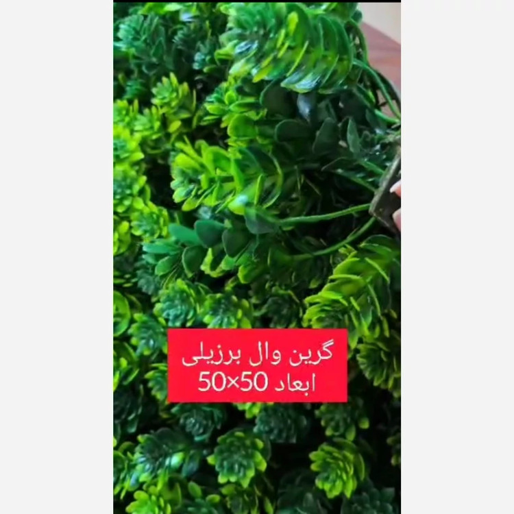 گرین وال برزیلی ابعاد 50در50 cm (دیوار سبز/گرینوال)(پس کرایه)