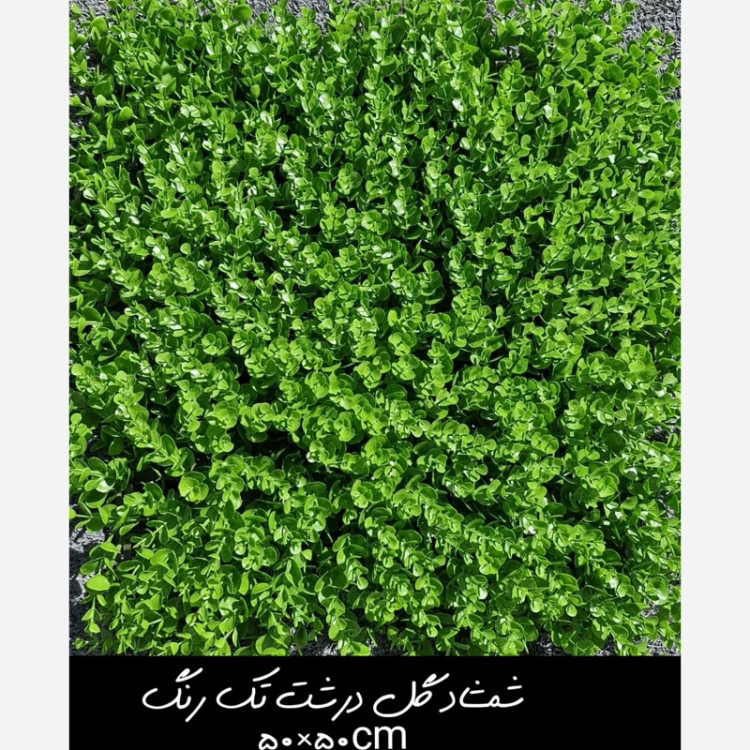 گرین وال(دیوار سبز) شمشاد گل درشت تک رنگ 50در50 cm پرتراکم رویال سبز(پس کرایه)