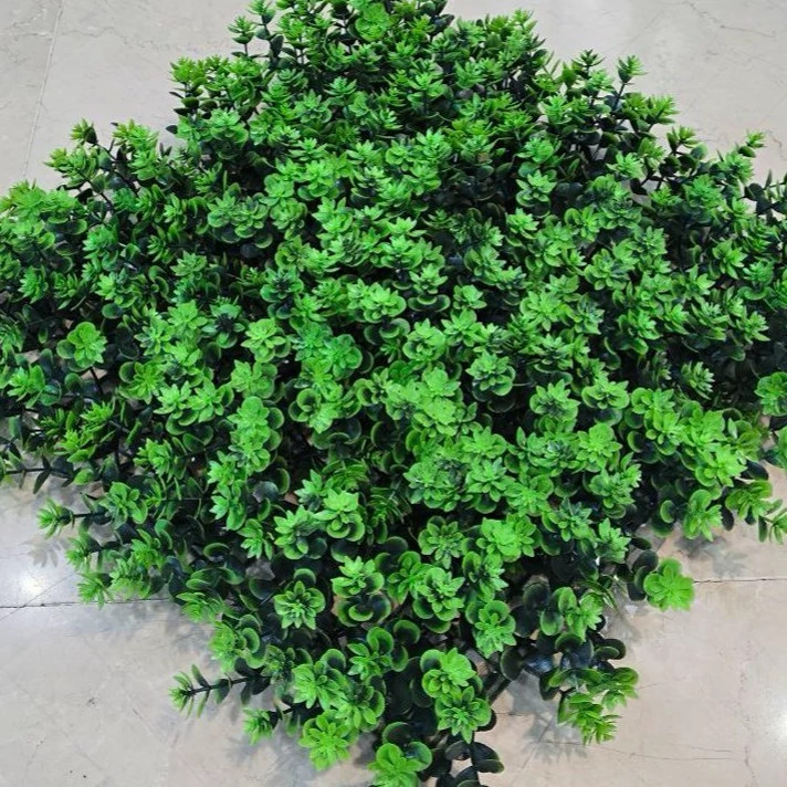 گرین وال (کد 22) ابعاد 50در50 cm، گامان(دیوارسبز) (پس کرایه)