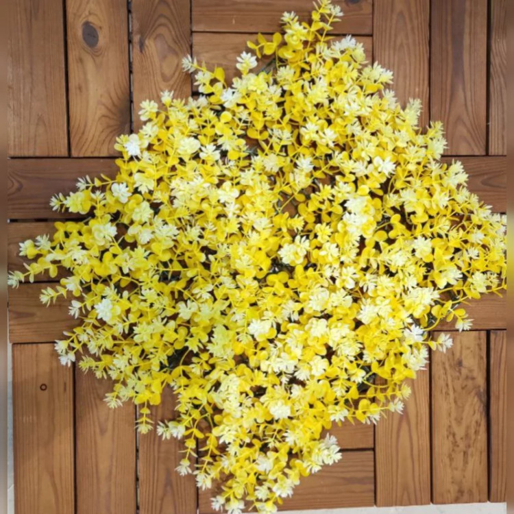 گرین وال (دو رنگ) پنج طرح ابعاد 50در50 cm (دیوارسبز) (پس کرایه)