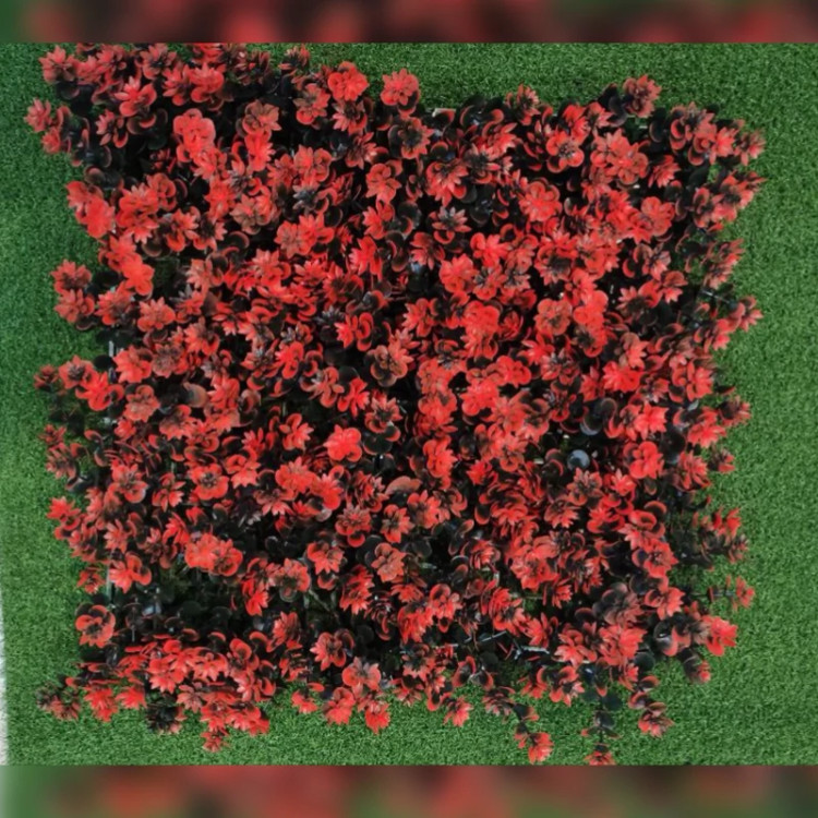 گرین وال (دو رنگ) پنج طرح ابعاد 50در50 cm (دیوارسبز) (پس کرایه)