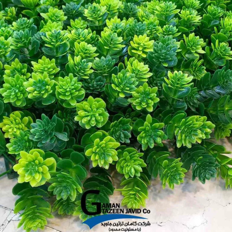 گرین وال(دیوار سبز) مدل ویولت 50در50 cm پرتراکم گامان(پس کرایه)