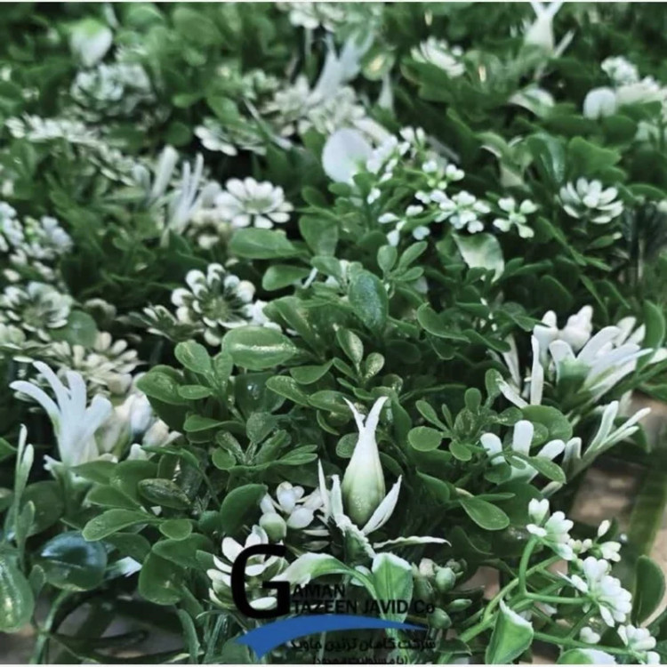 گرین وال سفید سبز ابعاد 40در60 cm گامان (دیوار سبز)(پسکرایه)