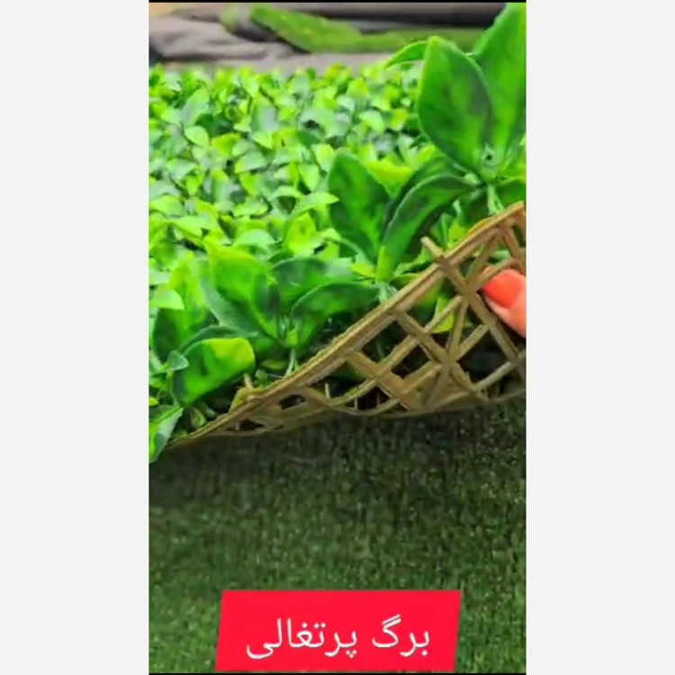 گرین وال برگ پرتغالی ابعاد 50در50 cm (دیوار سبز/گرینوال)(پس کرایه)