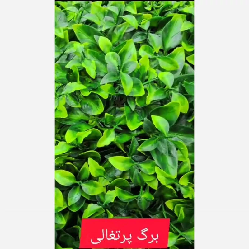 گرین وال برگ پرتغالی ابعاد 50در50 cm (دیوار سبز/گرینوال)(پس کرایه)