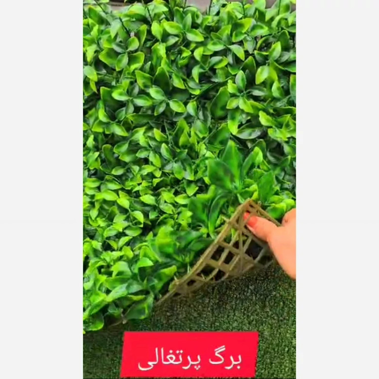 گرین وال برگ پرتغالی ابعاد 50در50 cm (دیوار سبز/گرینوال)(پس کرایه)