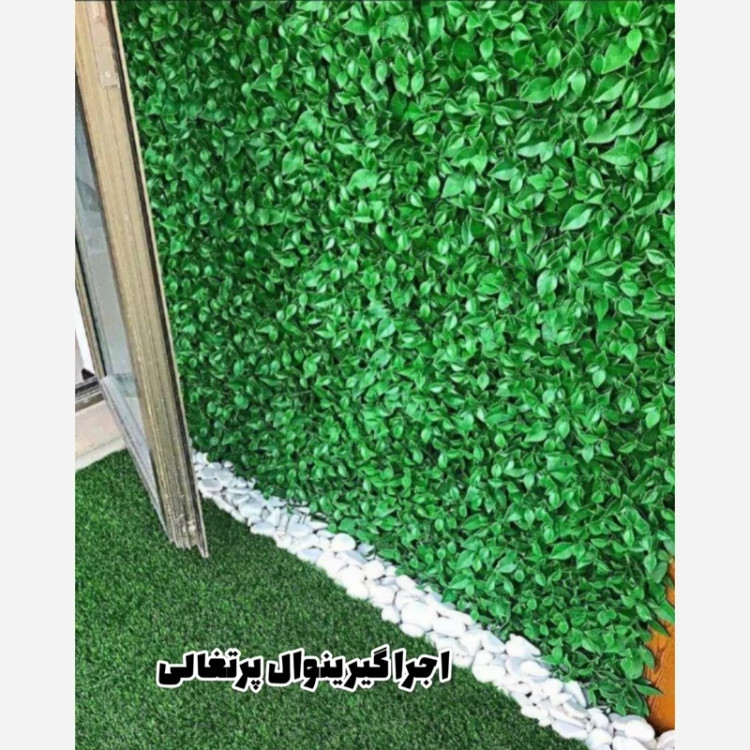 گرین وال پرتقالی پرتراکم (دیوار سبز) ابعاد 50در50 cm (پس کرایه)