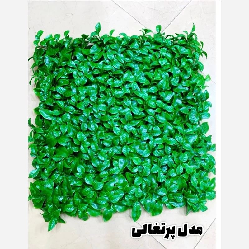 گرین وال پرتقالی پرتراکم (دیوار سبز) ابعاد 50در50 cm (پس کرایه)