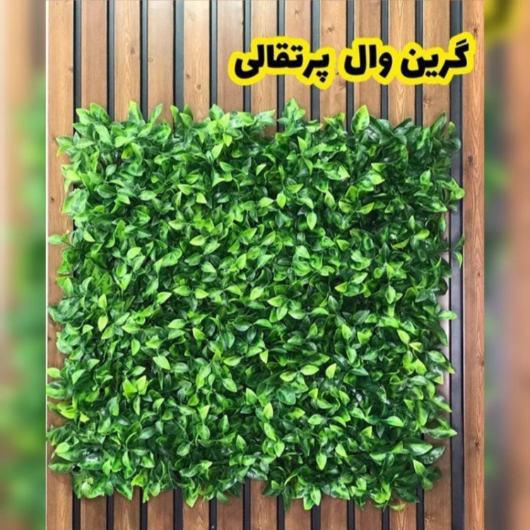 گرین وال پرتقالی پرتراکم (دیوار سبز) ابعاد 50در50 cm (پس کرایه)