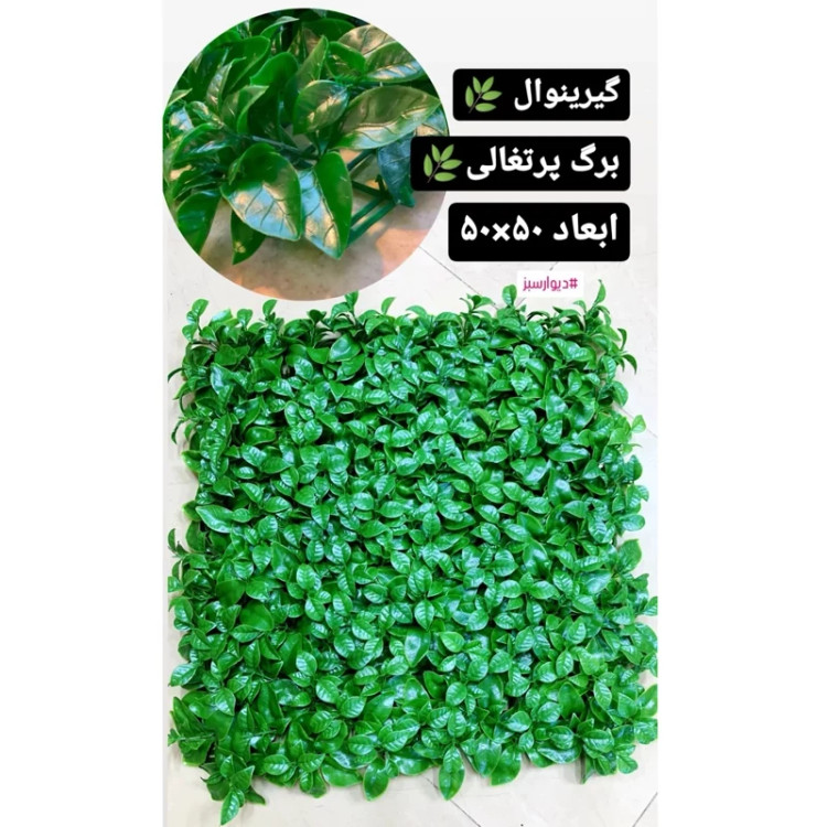 گرین وال پرتقالی پرتراکم (دیوار سبز) ابعاد 50در50 cm (پس کرایه)