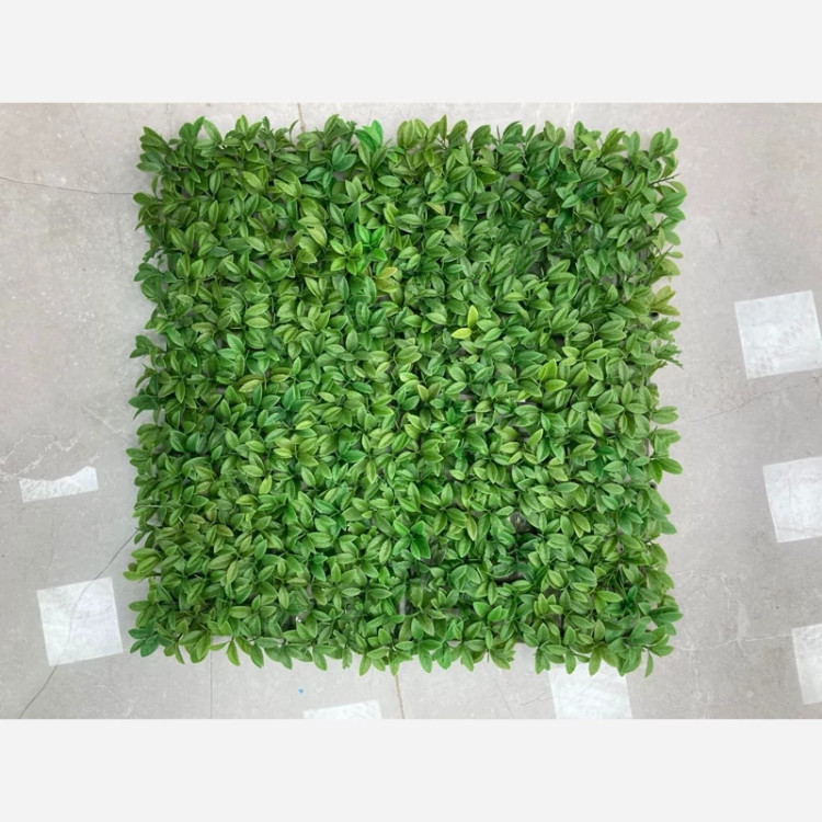 گرین وال پرتقالی پرتراکم (دیوار سبز) ابعاد 50در50 cm (پس کرایه)