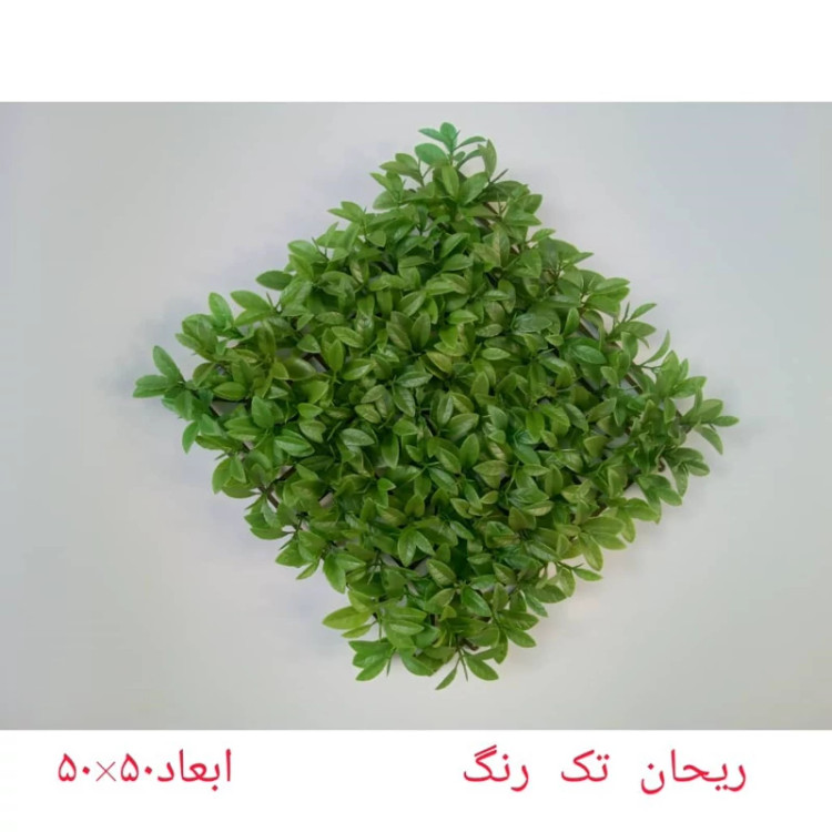 گرین وال (دیوار سبز) ریحان تک رنگ 50در50 cm (پس کرایه)