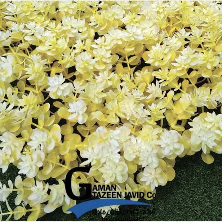 گرین وال زرد ابعاد 50در50 cm، گامان (دیوار سبز)(پس کرایه)