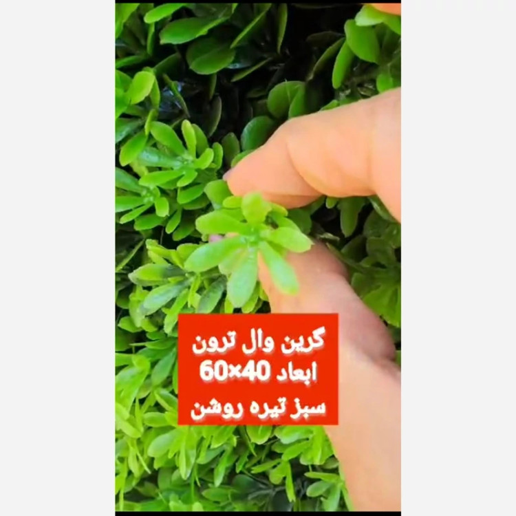 گرین وال ترون ابعاد 40در60 cm (دیوار سبز/گرینوال)(پس کرایه)