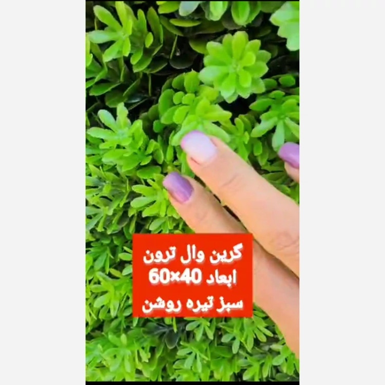 گرین وال ترون ابعاد 40در60 cm (دیوار سبز/گرینوال)(پس کرایه)