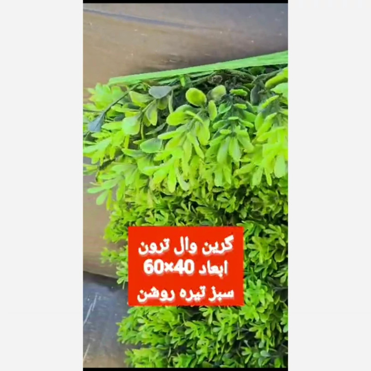 گرین وال ترون ابعاد 40در60 cm (دیوار سبز/گرینوال)(پس کرایه)