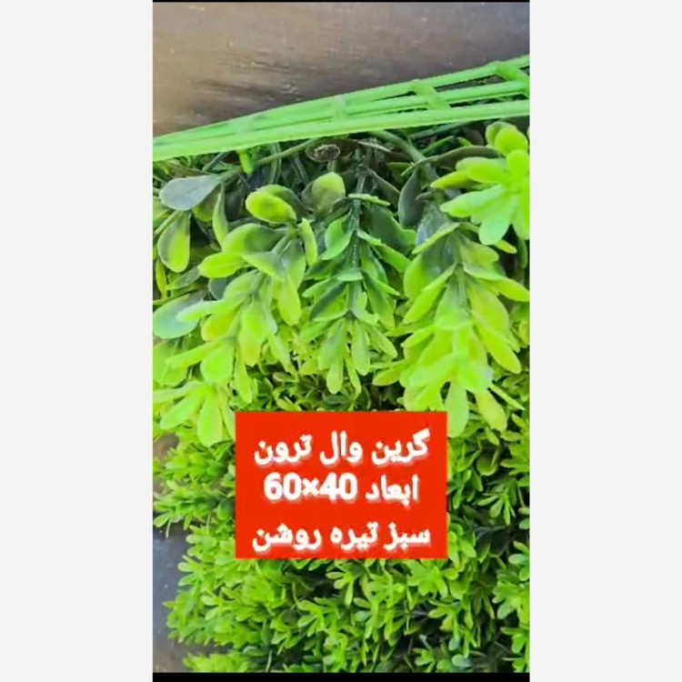 گرین وال ترون ابعاد 40در60 cm (دیوار سبز/گرینوال)(پس کرایه)