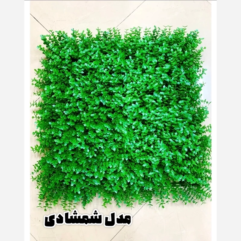 گرین وال (دیوار سبز) شمشاد گل ریز 50در50 cm (پس کرایه)