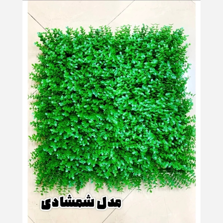 گرین وال (دیوار سبز) شمشاد گل ریز 50در50 cm (پس کرایه)