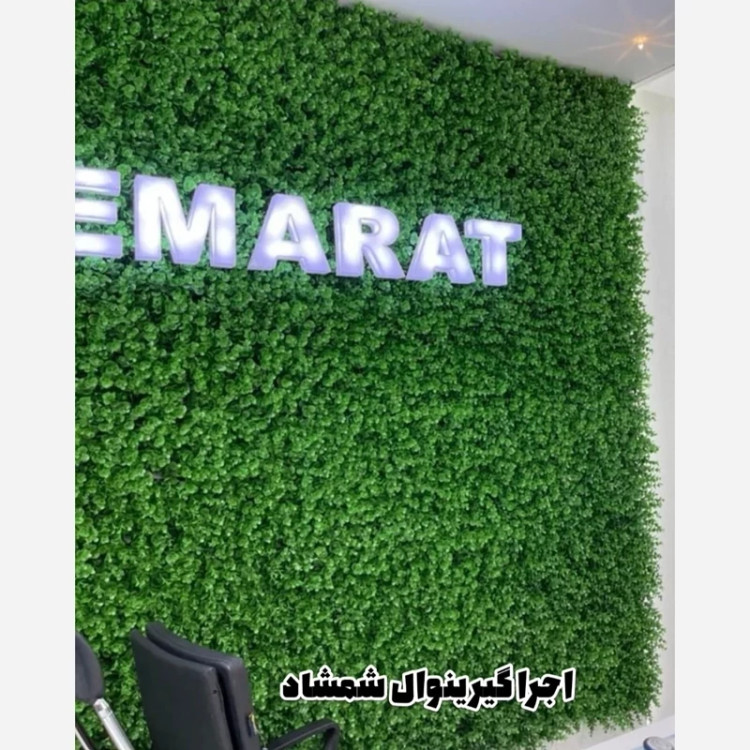 گرین وال (دیوار سبز) شمشاد گل ریز 50در50 cm (پس کرایه)