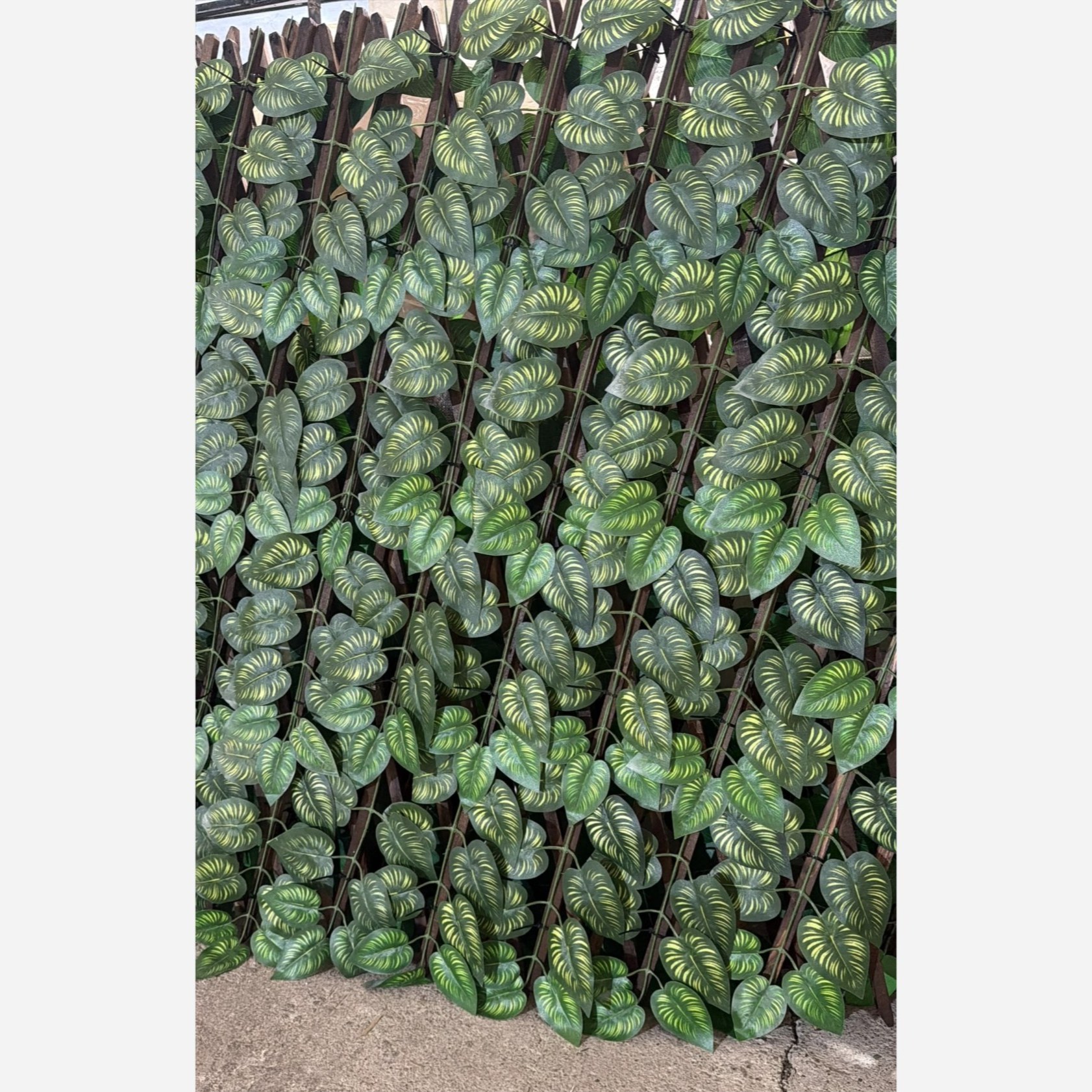 پنل حصار آکاردئونی برگ پتوس شاسی چوب ابعاد 1در2 متر (پسکرایه)