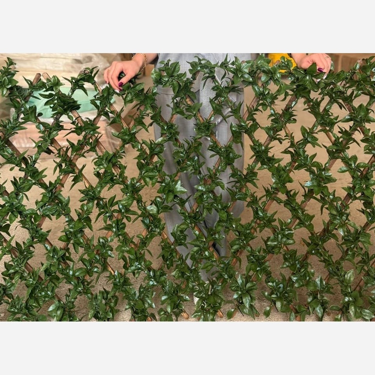 پنل حصار آکاردئونی برگ پتوس شاسی چوب ابعاد 1در2 متر (پسکرایه)