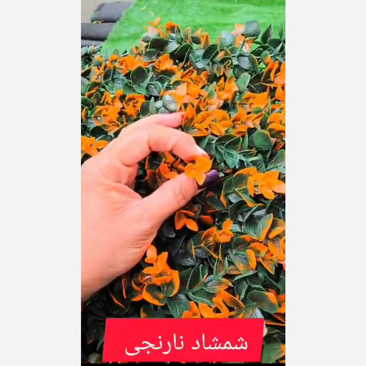 گرین وال شمشاد نارنجی ابعاد 40در60 cm (دیوار سبز/گرینوال)(پس کرایه)