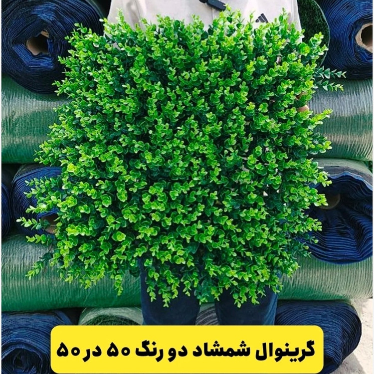 گرین وال شمشاد سبز دو رنگ ابعاد 50در50 cm (دیوار سبز/گرینوال)(پس کرایه)