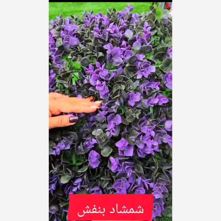 گرین وال شمشاد بنفش ابعاد 40در60 cm (دیوار سبز/گرینوال)(پس کرایه)