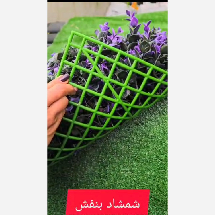 گرین وال شمشاد بنفش ابعاد 40در60 cm (دیوار سبز/گرینوال)(پس کرایه)