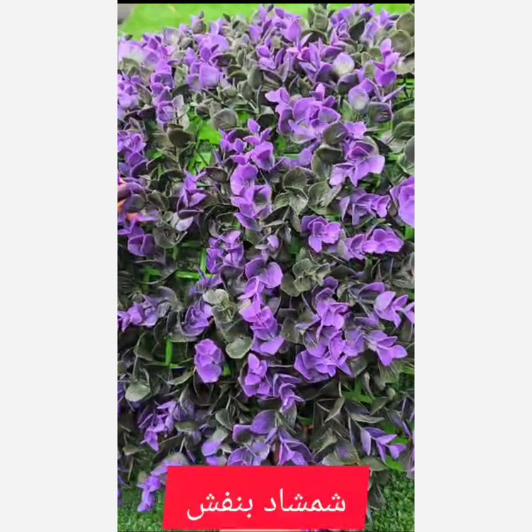 گرین وال شمشاد بنفش ابعاد 40در60 cm (دیوار سبز/گرینوال)(پس کرایه)