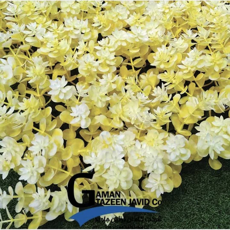 گرین وال زرد ابعاد 50در50 cm، گامان (دیوار سبز)(پس کرایه)
